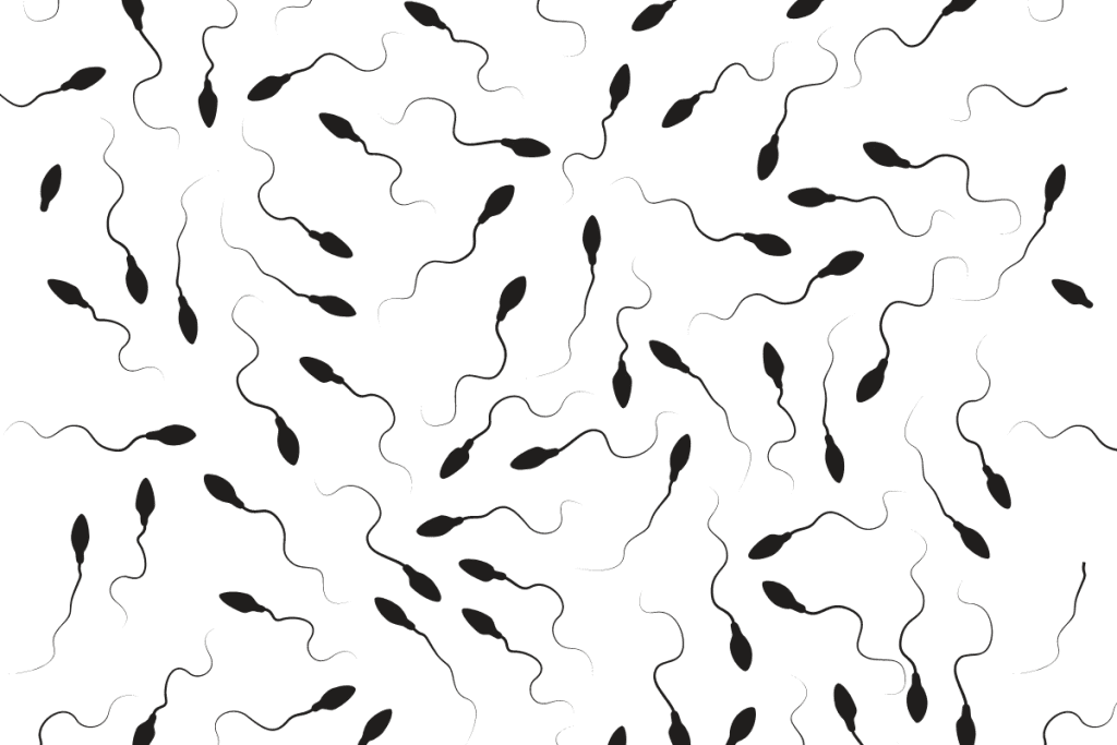 sperm