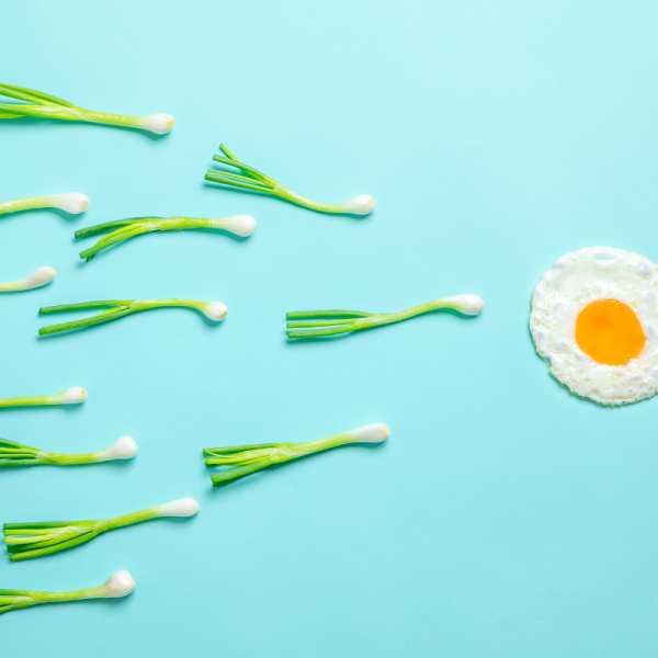 onion sperm and egg
